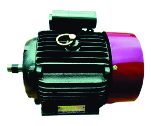 Induction Motor